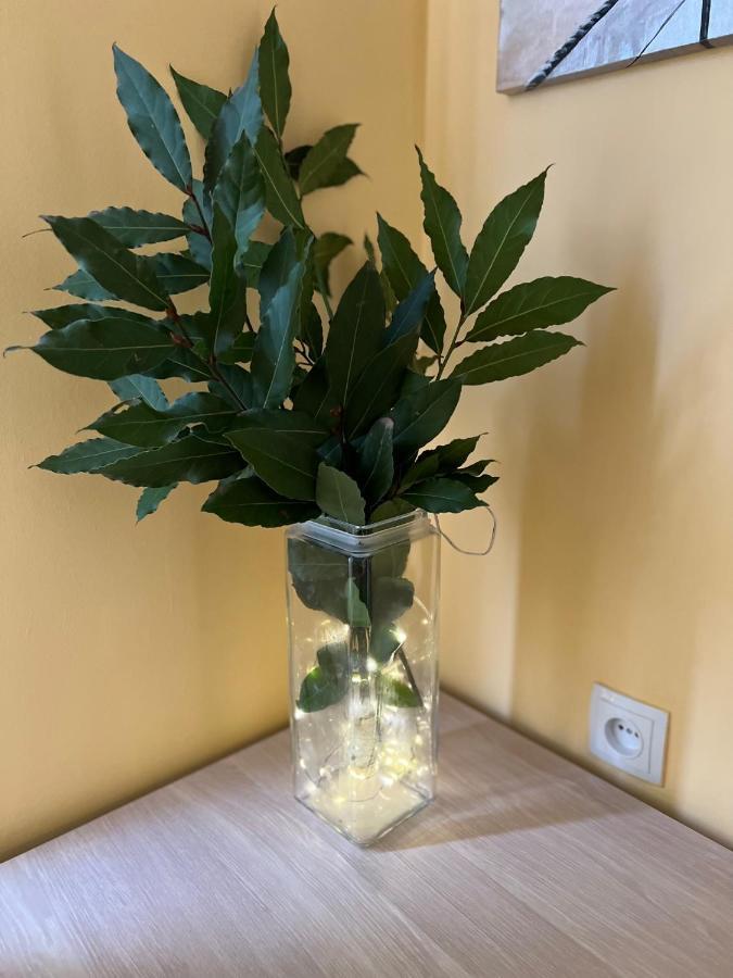 Guest House Gio Кобулети Экстерьер фото